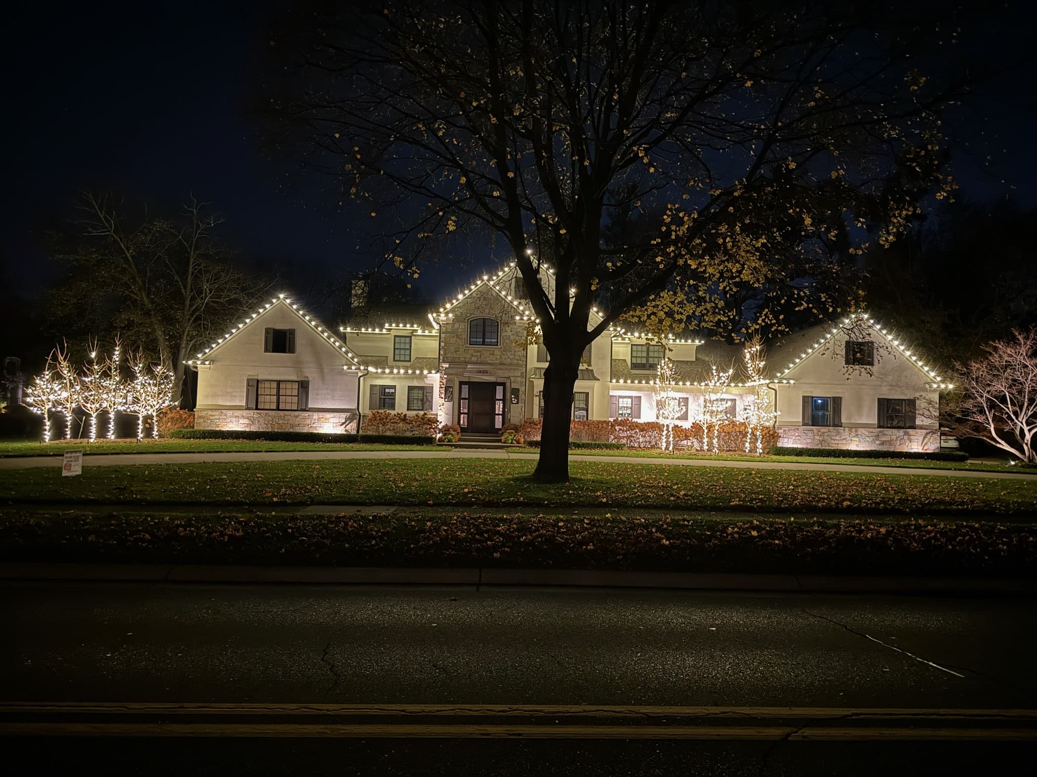 Christmas Light Hanging Services