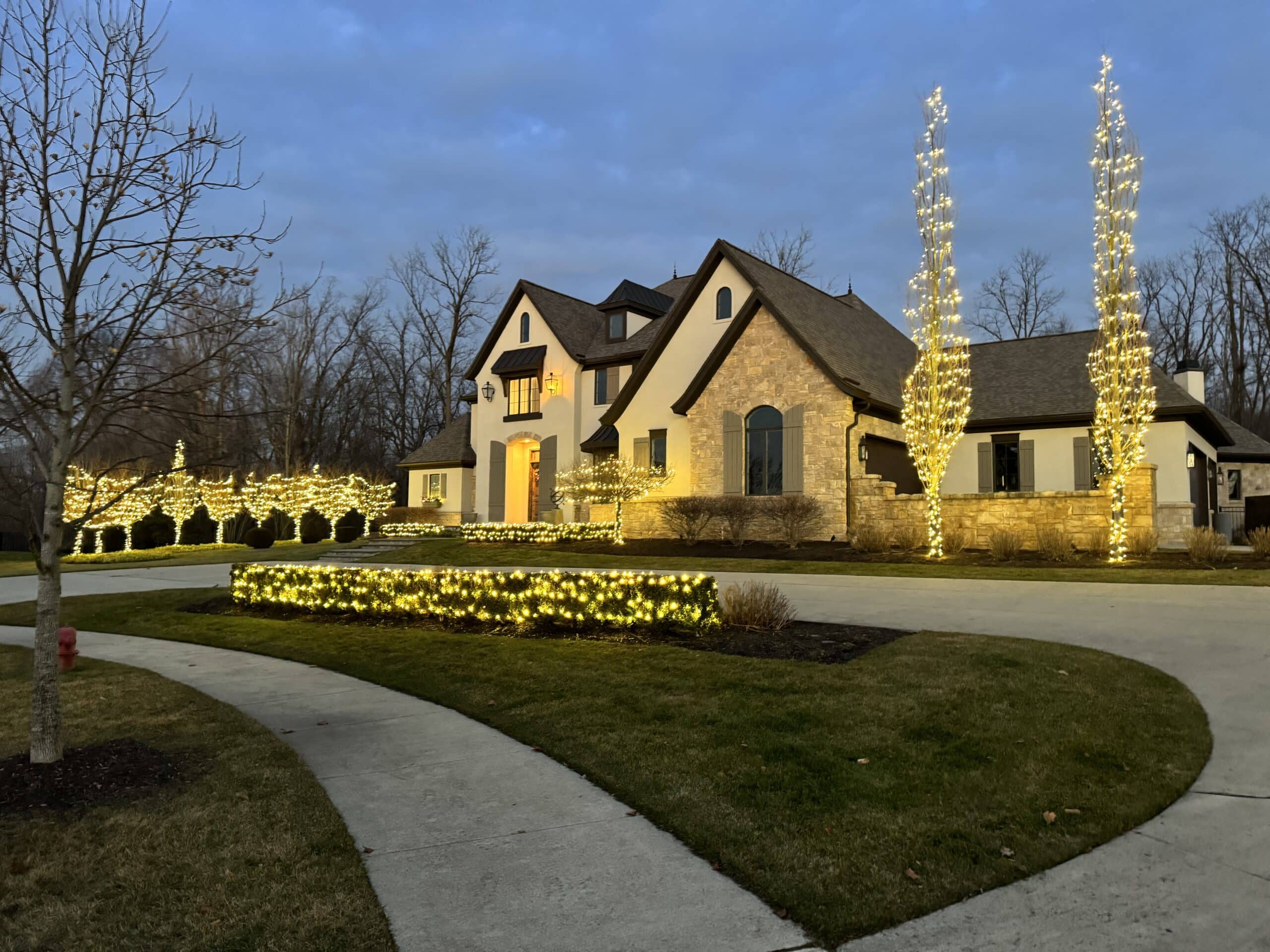 Local Christmas Light Hanging Services